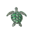 Medium Green Sea Turtle