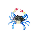 Medium Black and Blue Crab
