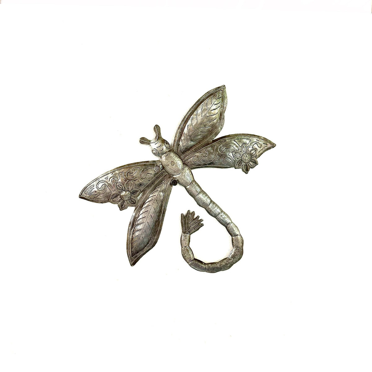 Natural Dragonfly