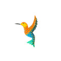Small Orange and Blue Hummingbird