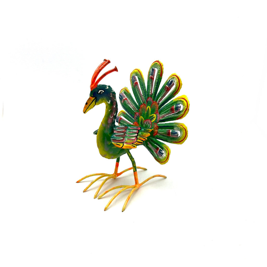 Standing Peacock